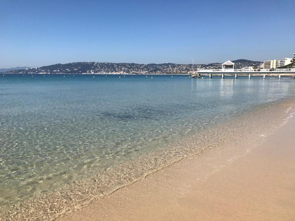 Beau Studio Centre Juan Les Pins A 300M Des Plages Antibes Dış mekan fotoğraf